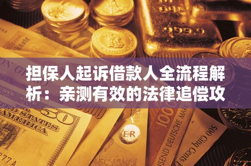 武汉担保人起诉借款人全流程解析：亲测有效的法律追偿攻略