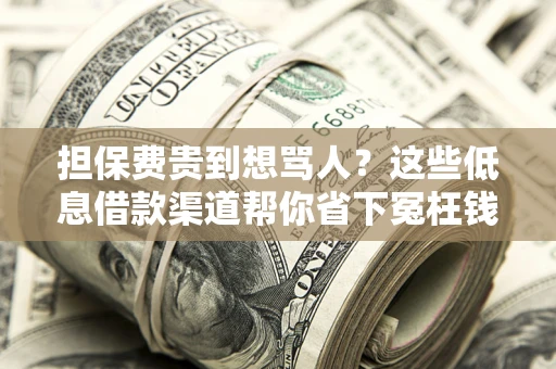 武汉担保费贵到想骂人？这些低息借款渠道帮你省下冤枉钱