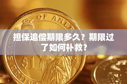 武汉担保追偿期限多久？期限过了如何补救？