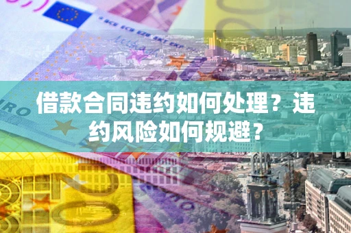 武汉借款合同违约如何处理？违约风险如何规避？
