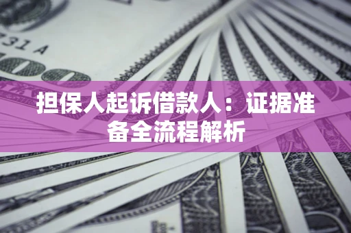 武汉担保人起诉借款人：证据准备全流程解析