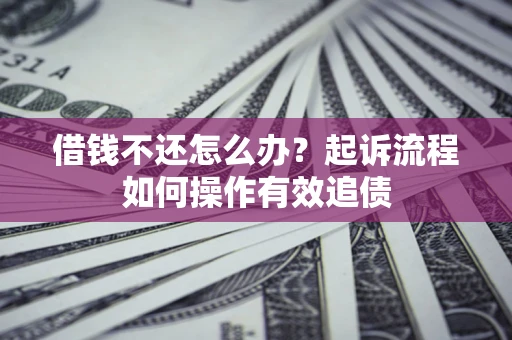 武汉借钱不还怎么办？起诉流程如何操作有效追债