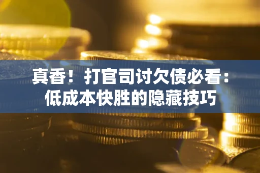 武汉真香！打官司讨欠债必看：低成本快胜的隐藏技巧