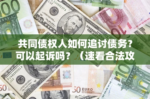 武汉共同债权人如何追讨债务？可以起诉吗？（速看合法攻略）