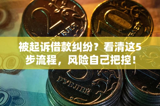 武汉被起诉借款纠纷？看清这5步流程，风险自己把控！