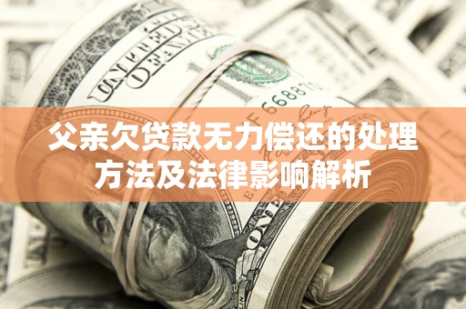 武汉父亲欠贷款无力偿还的处理方法及法律影响解析