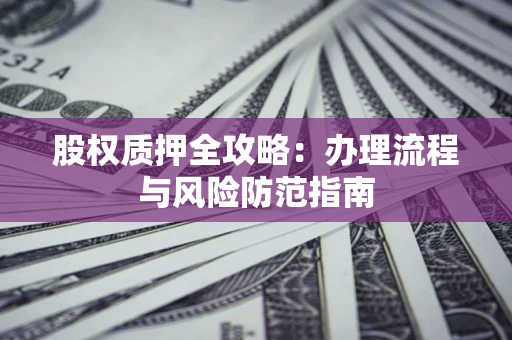 武汉股权质押全攻略：办理流程与风险防范指南